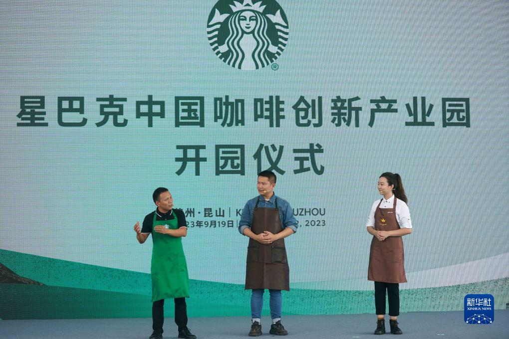 捕鱼合集可下分
